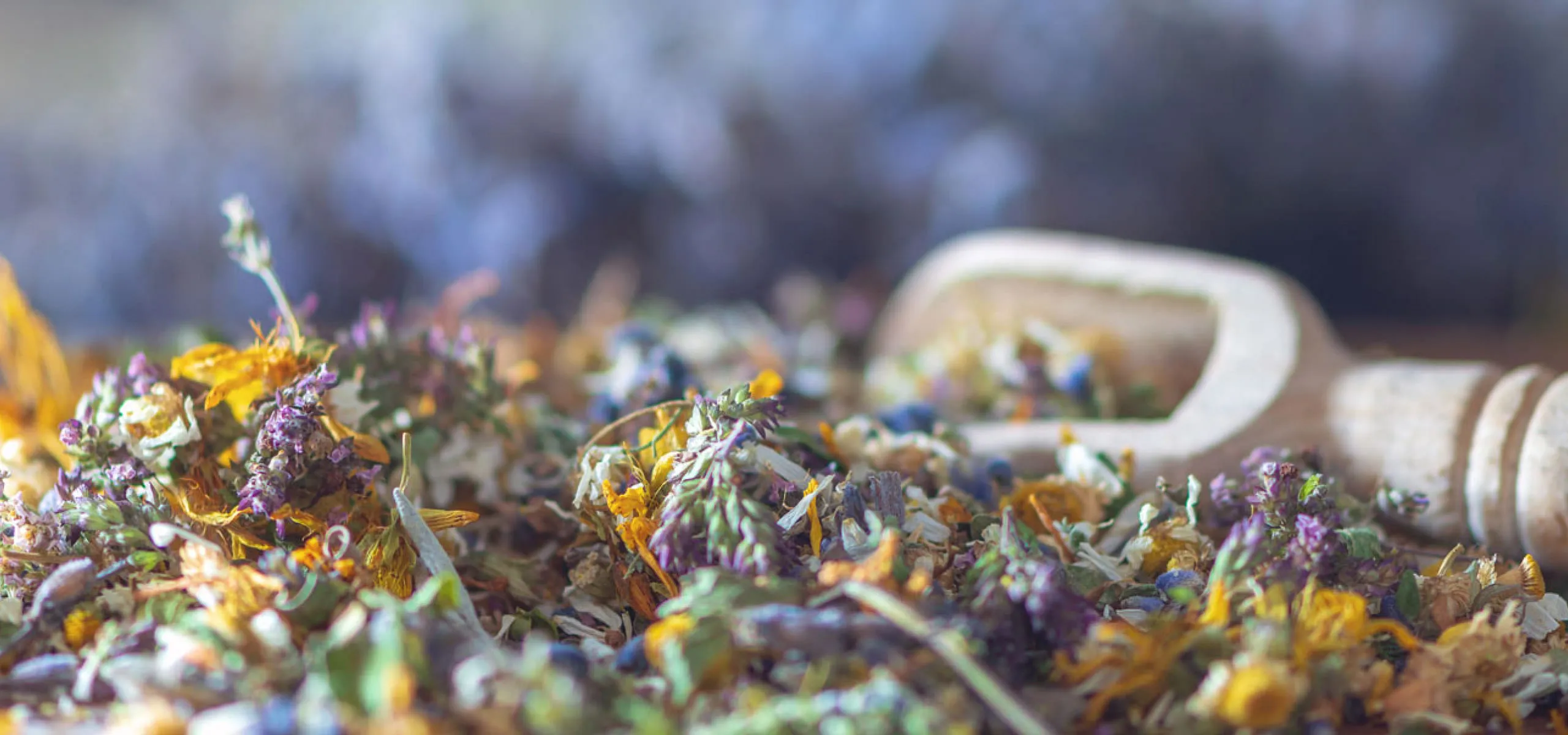Blumen Header-Bild