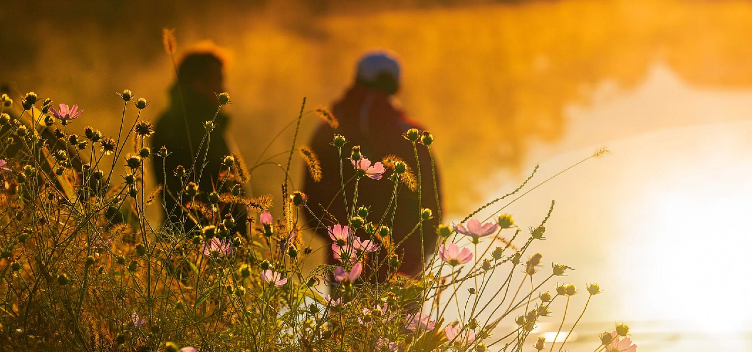 Sonnenuntergang Header-Bild